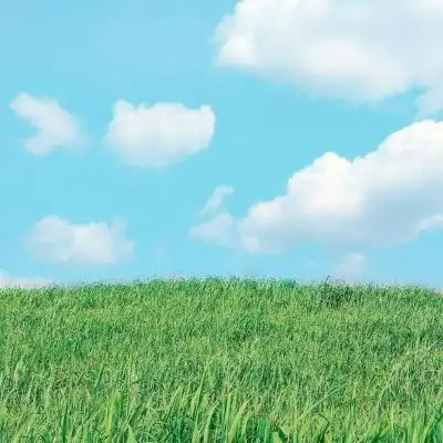  苏瓷清新意境背景绿色小清新风景静物头像我要个性网