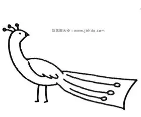  学画简单的孔雀