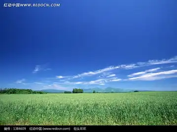  晴朗蓝天下的绿色田野图片免费下载编号1384609红动网