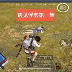  刺激战场无名大海啸快手直播