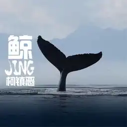  鲸柯镇恶单曲网易云音乐