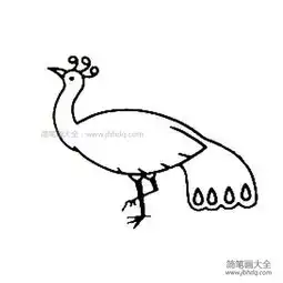  丰满的孔雀简笔画图片