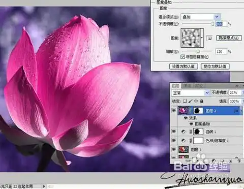  photoshop打造暗紫色荷花特写图片