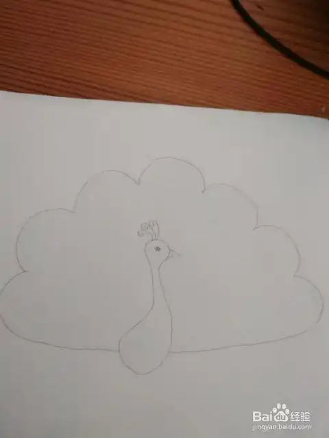  多妈简笔画动物一只漂亮的孔雀