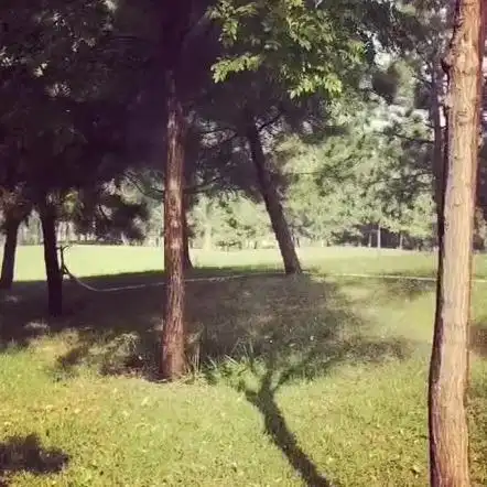  天上阳光正好,地上风景也好
