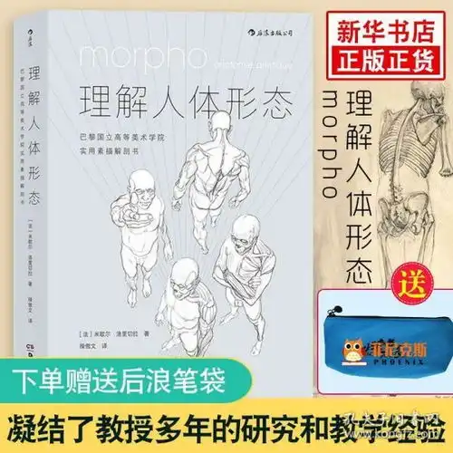  孔网分类