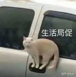  玻尿酸和少女针哪个更保险安全