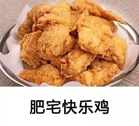  康建翊肥宅们的快乐源泉