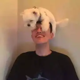  动漫卡通壁纸欧美头像抖音头像