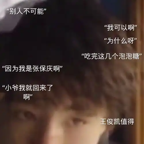  王俊凯张保庆