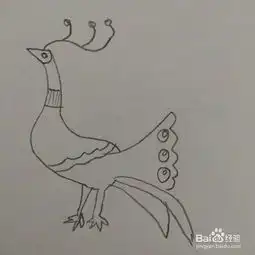  儿童趣味简笔画孔雀的画法