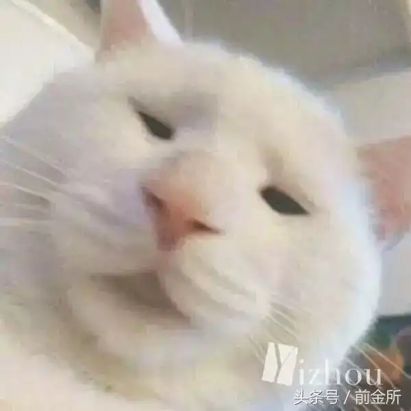  维秘超模歧视中国人是我们太敏感还是玩笑梗太烂