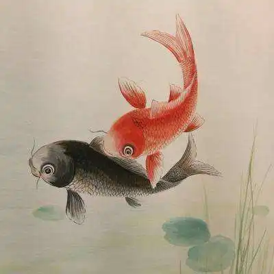  中央五台在线直播足球回放