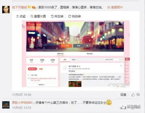  上海携程亲子园虐待孩子事件后张葆葆删除头像清空微博