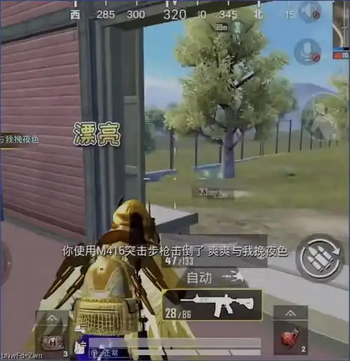  和平精英穿上炽羽金尊就是高玩了王小歪操作引观众哭笑不得