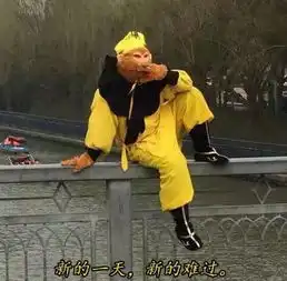  唐僧师徒五人占用快车道,被民警劝离