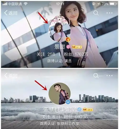江苏卫视微博头像金阿欢