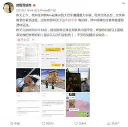  父母伊朗旅游遇车祸一死一伤,平安保险被喷不作为旅游保险到底保的是啥tbo思辨堂