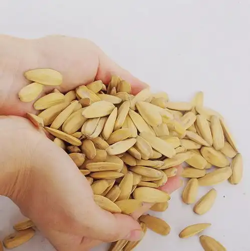  瓜子和花生,一个容易长胖,一个帮助减肥,或许很多人都不清楚
