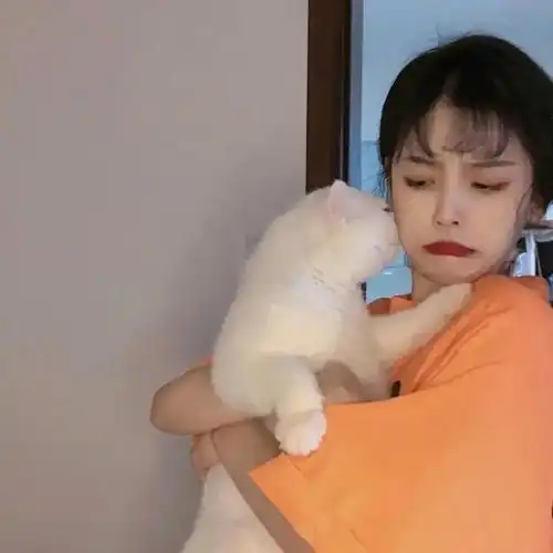  头像丘比特是不是拿着我的箭去烧烤了
