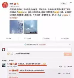  谢娜复出首秀去江苏卫视而不是快本