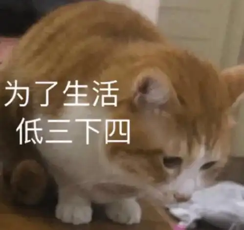  政府招商引资进来的大型企业靠谱吗