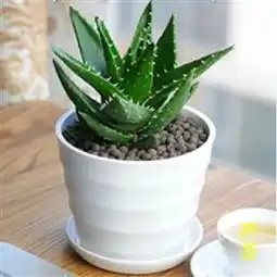  精选图片帖第54页
