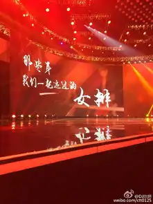  郎平携女排录江苏春晚