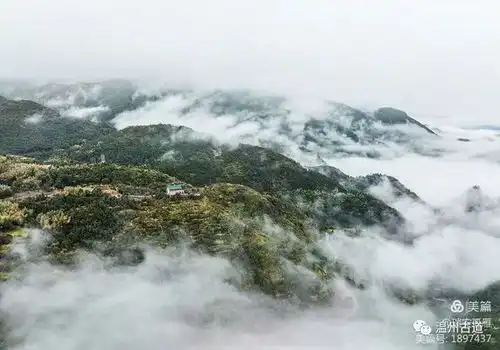  美得令人惊艳的福泉山云海,你去看过吗