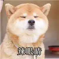  柴犬情侣头像秋千微信头像图片大全
