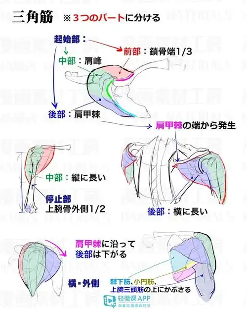  黑白插画教程,手绘简笔画素材