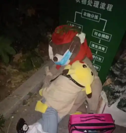  小熊被遗弃后的奇幻历程,悲伤的故事居然有点暖心