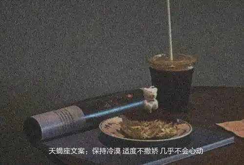  十二星座的专属文案句子