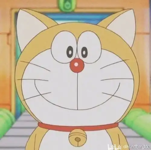  哔哩哔哩专栏