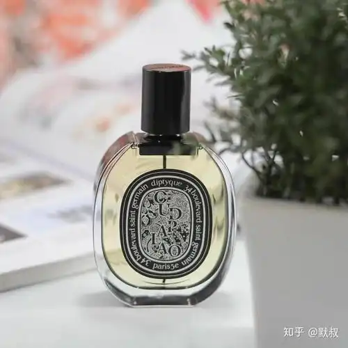  diptyque帕劳沉香气场很强的暗黑小众冷门中性香水推荐