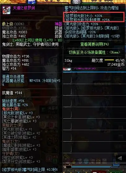  dnf最大修罗邪光斩,装备是如何的,史诗除外,只论大小不论伤害