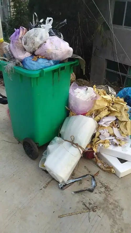  桥头这个村为何不上榜永嘉最脏村