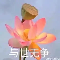 可爱又高级的头像佛系