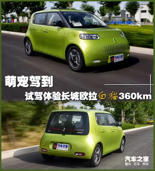 萌宠可爱猫咪头像欧拉