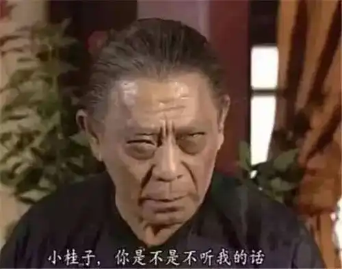  2.5,年度辣眼之王跪求垃圾国产剧放过金庸