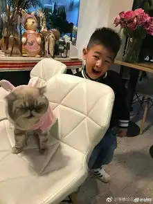  沙溢的综艺感有多强为何能上三次极限挑战越坑越要来2