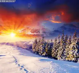  阳光雪景图片冬天景观摄影