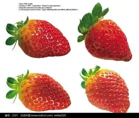 四颗鲜草莓004图片免费下载编号2197红动网