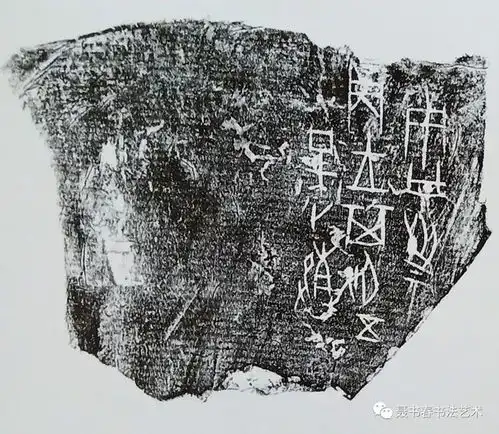  上海博物馆藏甲骨高清图片之一