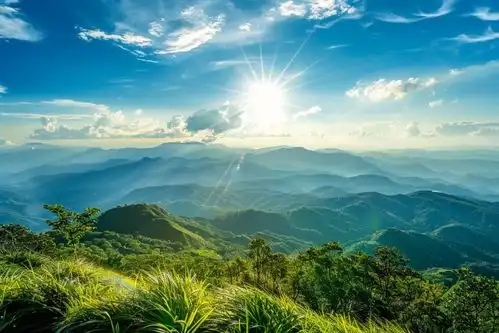  大山森林阳光自然风景高清壁纸创意海报广告素材