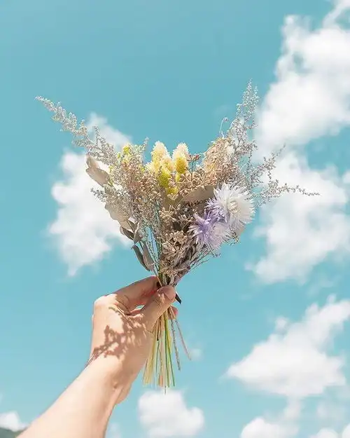  励志阳光的朋友圈短句,温暖心扉,越看越喜欢