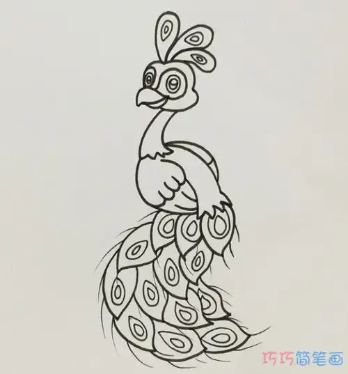  一步一步绘画孔雀简笔画填色简单又可爱