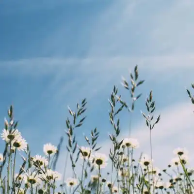  懂得笑而低下头,才是人生赢家
