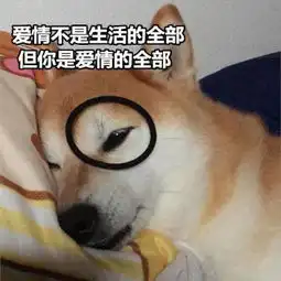  可爱逗比的汪星人表情包头像都微信头像我要个性网