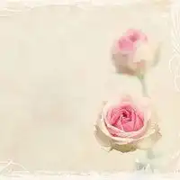  微信图片花草图片微信头像图片大全